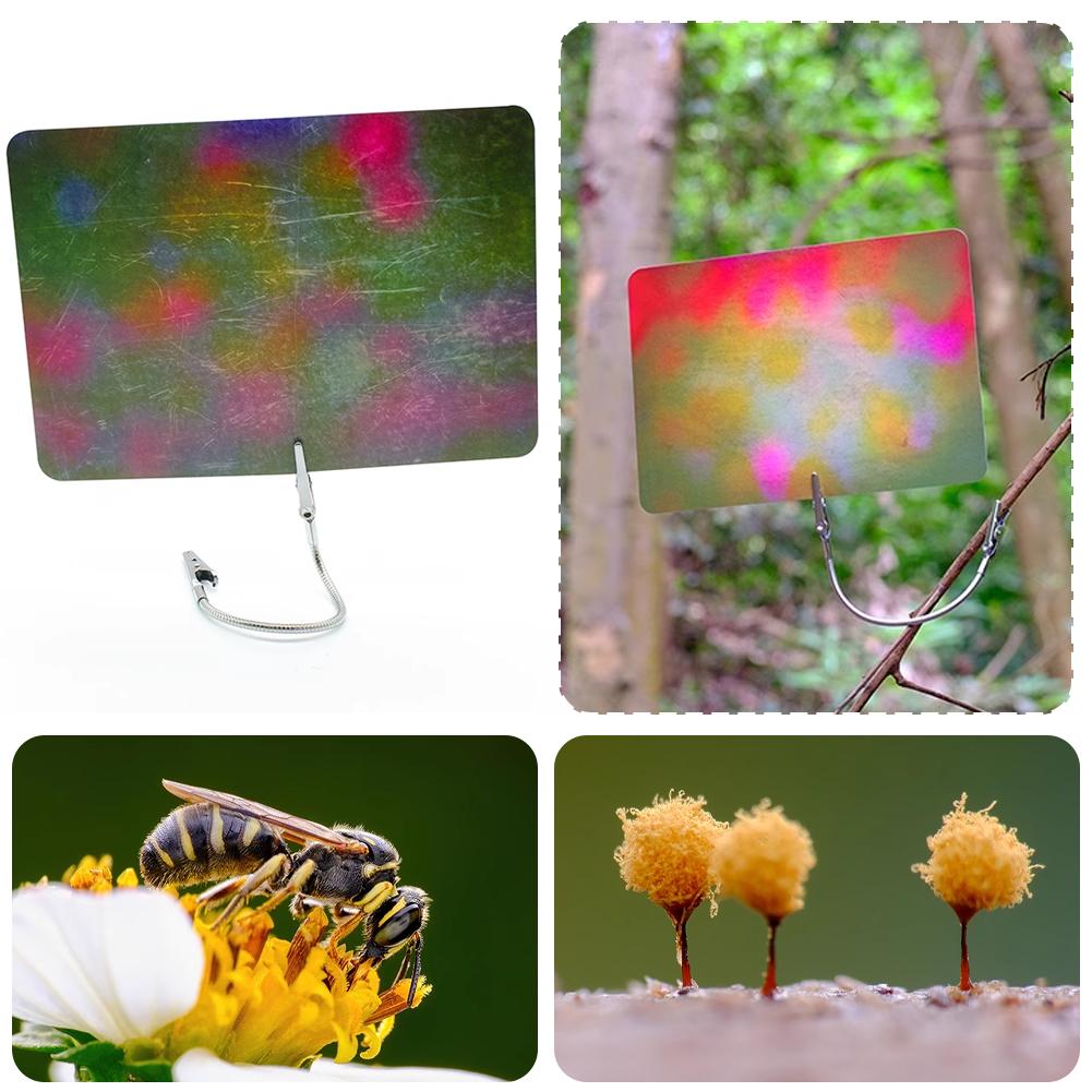 다양한 색상의 매크로 사진 배경 카드, 빛 흡수 소재  - Photography Lighting Material 리뷰 및 가격