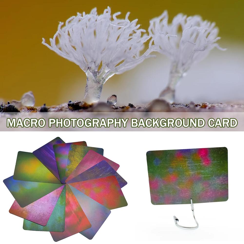 다양한 색상의 매크로 사진 배경 카드, 빛 흡수 소재  - Photography Lighting Material 리뷰 및 가격