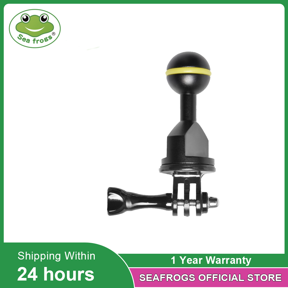 필수 다이빙 사진 장비 Gopro 액세서리 용 듀얼 볼 - Photography Lighting Essentials 리뷰 및 가격
